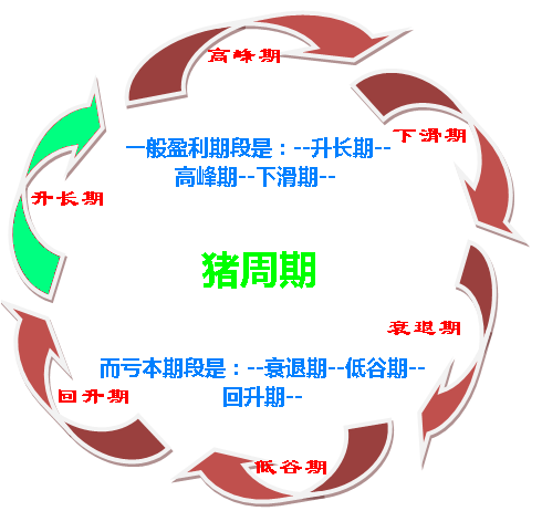 如何破解價(jià)格怪圈 化解“豬周期”風(fēng)險(xiǎn)？